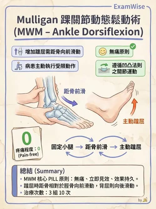 物治 - 鬆動術臨床應用 - AI 圖文解析預覽