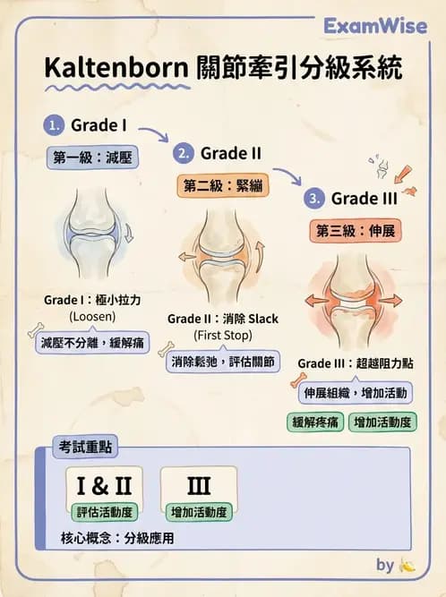物治 - 鬆動術分級理論 - AI 圖文解析預覽