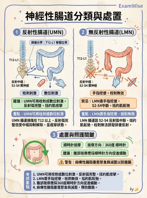 物治 - 功能評估與再教育 - AI 圖文解析預覽