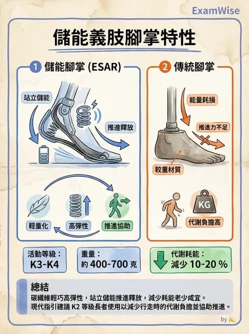 物治 - 義肢 - AI 圖文解析預覽