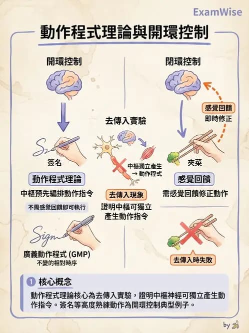 物治 - 動作控制理論 - AI 圖文解析預覽