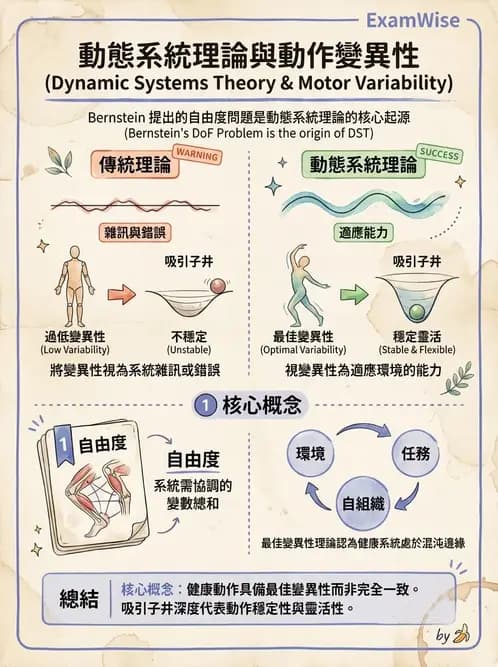 物治 - 動作控制理論 - AI 圖文解析預覽