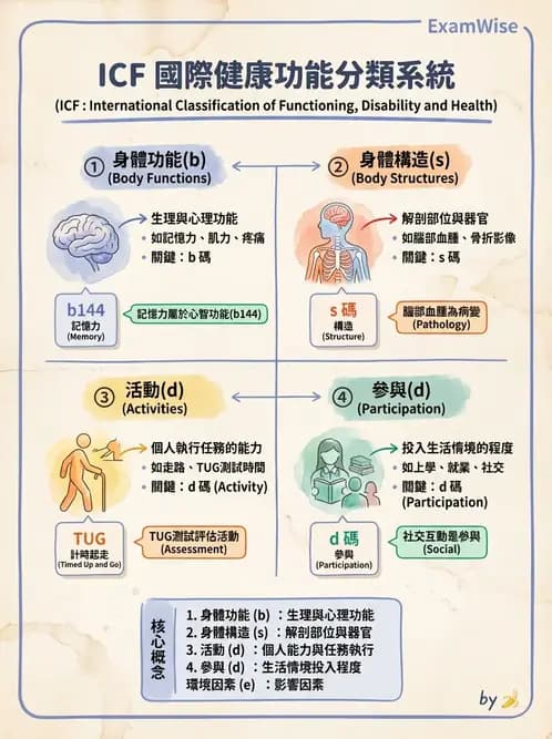 物治 - ICF分類與應用 - AI 圖文解析預覽