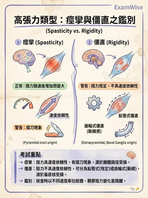 物治 - 神經物理治療評估工具 - AI 圖文解析預覽