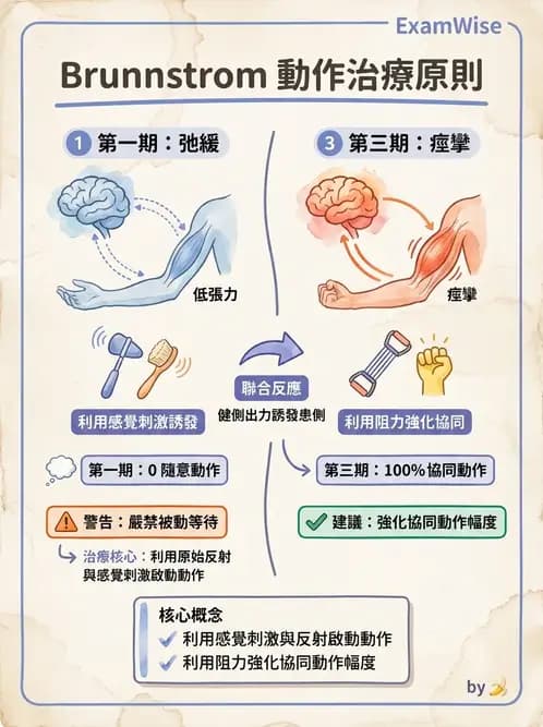 物治 - 腦中風治療手法應用 - AI 圖文解析預覽