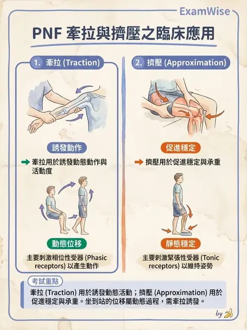物治 - 神經治療學派技術 - AI 圖文解析預覽