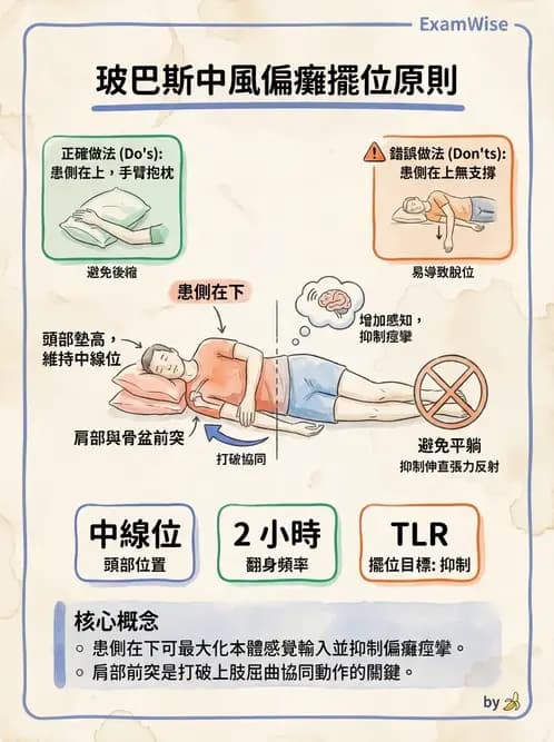物治 - 腦中風治療手法應用 - AI 圖文解析預覽
