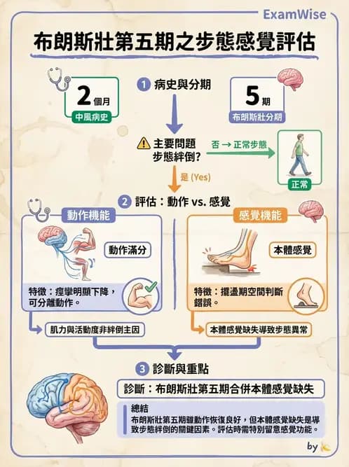 物治 - 腦中風步態分析與行走訓練 - AI 圖文解析預覽