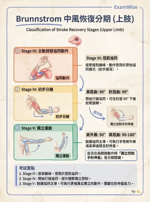 物治 - 腦中風動作評估與分期 - AI 圖文解析預覽