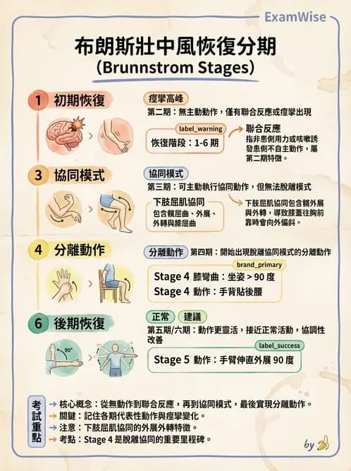 物治 - 腦中風動作評估與分期 - AI 圖文解析預覽