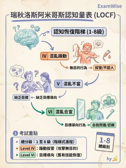 物治 - TBI LOCF分級與復健 - AI 圖文解析預覽