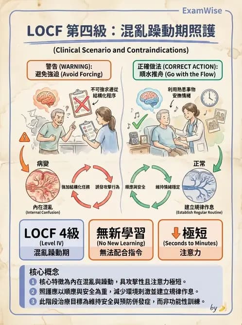 物治 - TBI LOCF分級與復健 - AI 圖文解析預覽