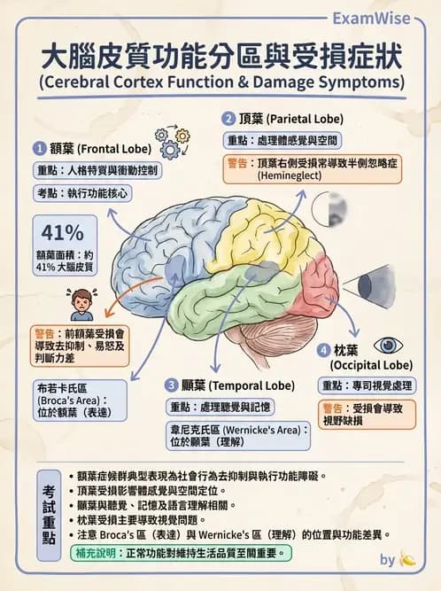 物治 - 運動神經元疾病與其他中樞疾病 - AI 圖文解析預覽
