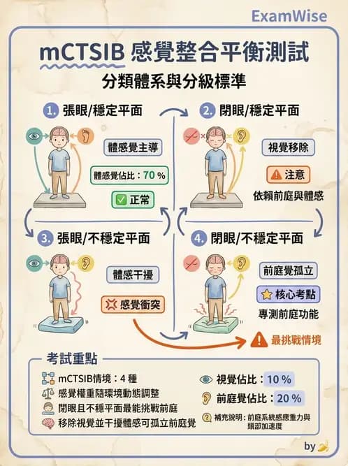 物治 - 前庭系統與前庭復健 - AI 圖文解析預覽