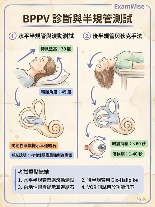 物治 - 前庭系統與前庭復健 - AI 圖文解析預覽