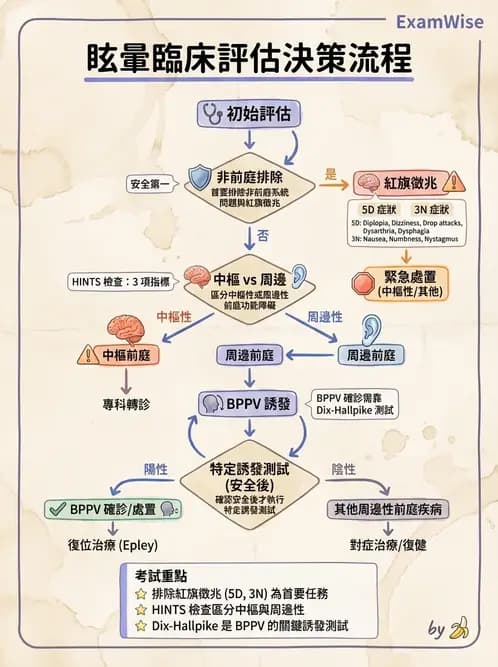 物治 - 前庭系統與前庭復健 - AI 圖文解析預覽