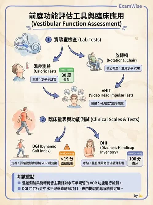 物治 - 前庭系統與前庭復健 - AI 圖文解析預覽