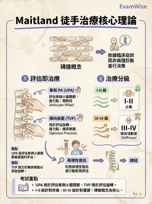物治 - 頸椎評估與病理 - AI 圖文解析預覽