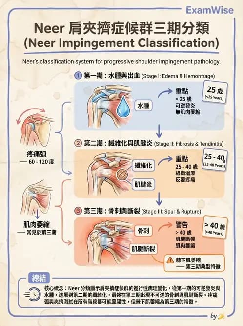物治 - 肩關節夾擠與旋轉肌袖 - AI 圖文解析預覽