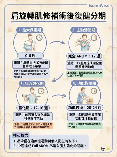 物治 - 肩關節夾擠與旋轉肌袖 - AI 圖文解析預覽