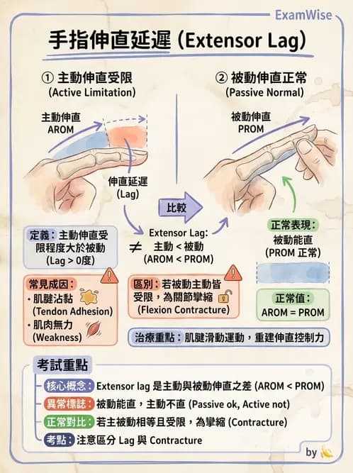 物治 - 手部肌腱損傷與變形 - AI 圖文解析預覽