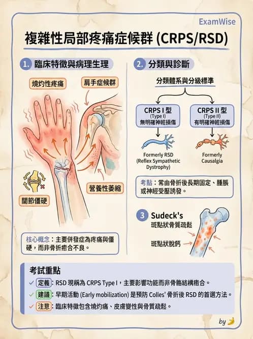 物治 - 腕關節疾病 - AI 圖文解析預覽