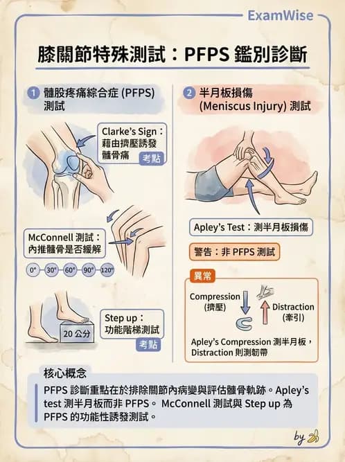 物治 - 髕股關節疼痛與伸展機制 - AI 圖文解析預覽