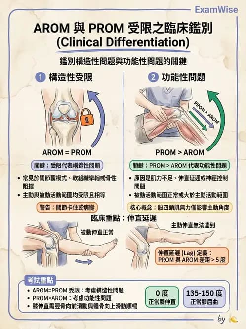物治 - 膝關節生物力學與退化性疾病 - AI 圖文解析預覽