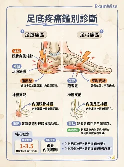 物治 - 足部病變與輔具評估 - AI 圖文解析預覽