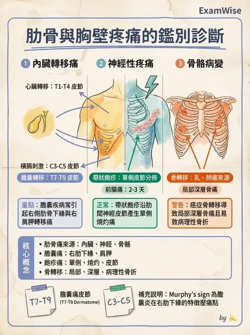 物治 - 初級照護與鑑別診斷 - AI 圖文解析預覽