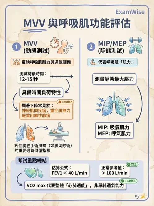 物治 - 肺功能測試與血氣體分析 - AI 圖文解析預覽