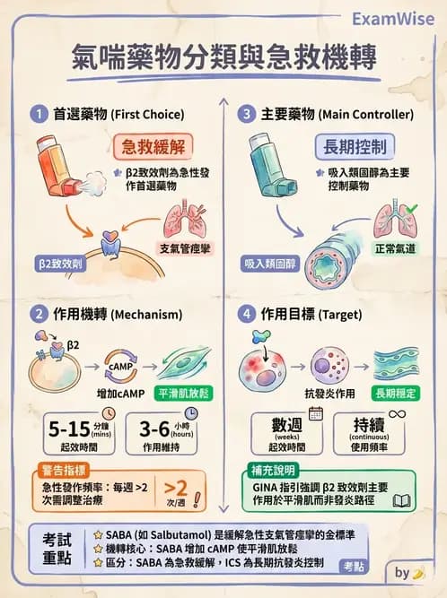 物治 - 阻塞性肺疾病物理治療 - AI 圖文解析預覽