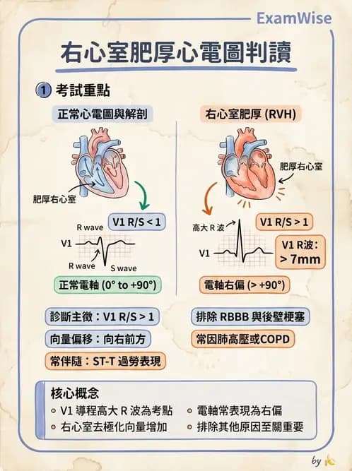 物治 - 心電圖判讀 - AI 圖文解析預覽