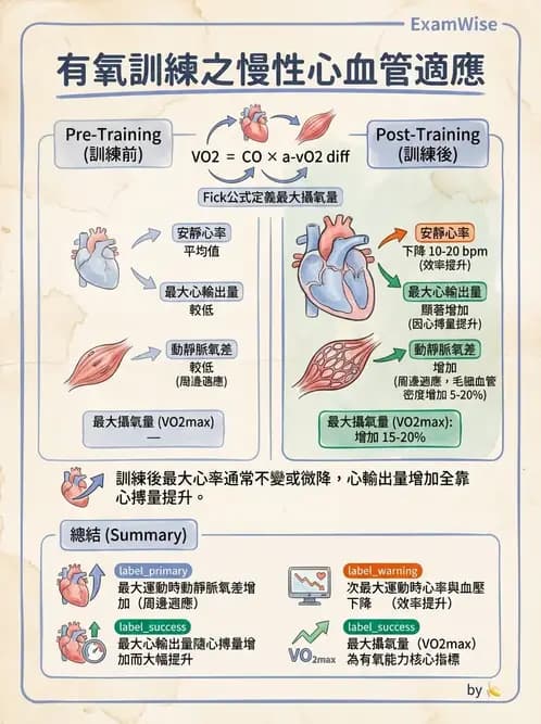物治 - 運動生理學與能量代謝 - AI 圖文解析預覽
