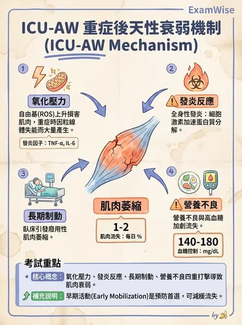 物治 - 重症加護物理治療 - AI 圖文解析預覽