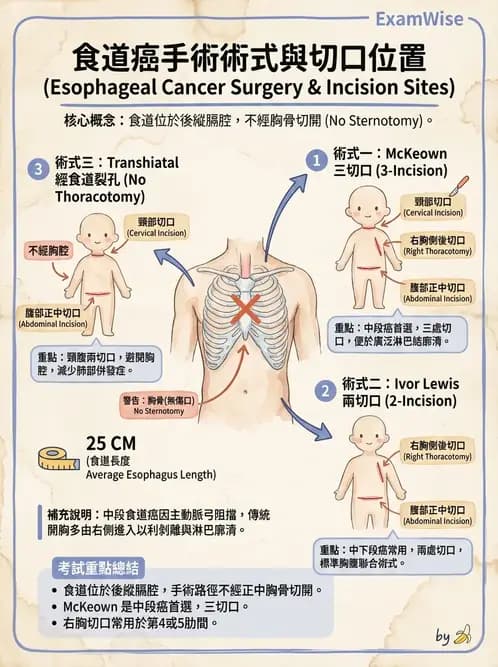 物治 - 癌症物理治療 - AI 圖文解析預覽