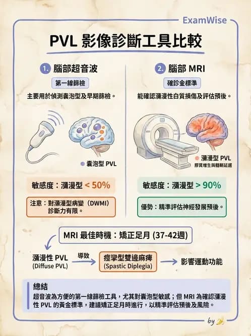 物治 - 新生兒與嬰兒發展評估 - AI 圖文解析預覽