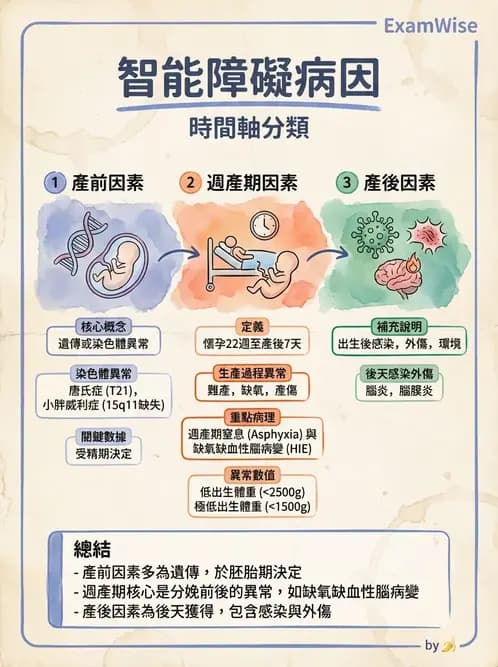 物治 - 智能障礙與基因症候群 - AI 圖文解析預覽