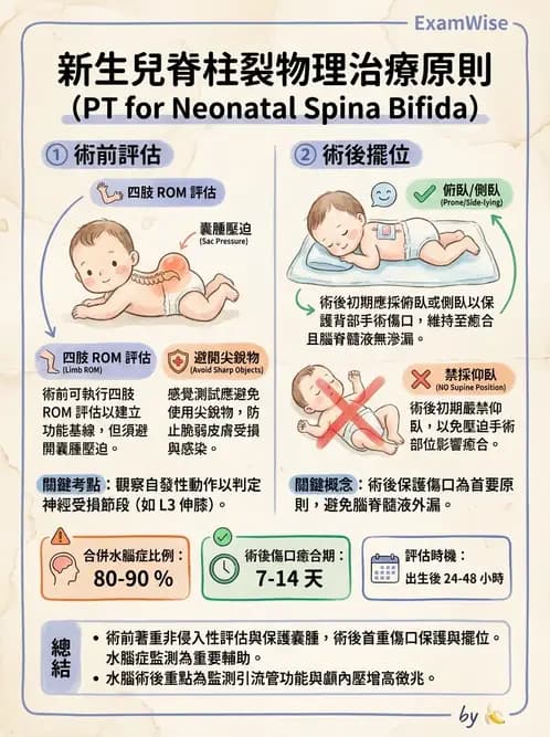 物治 - 脊柱裂、神經肌肉疾病與腦傷 - AI 圖文解析預覽