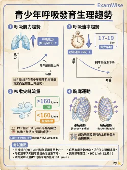 物治 - 兒童發展里程碑(動作與認知) - AI 圖文解析預覽