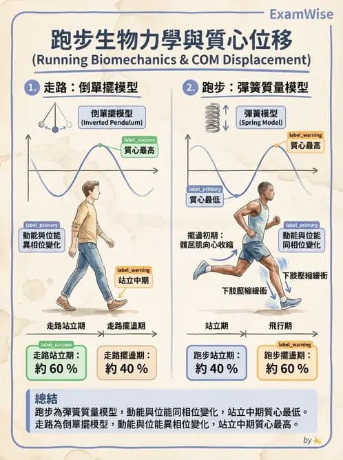 物治 - 步態週期與生物力學 - AI 圖文解析預覽