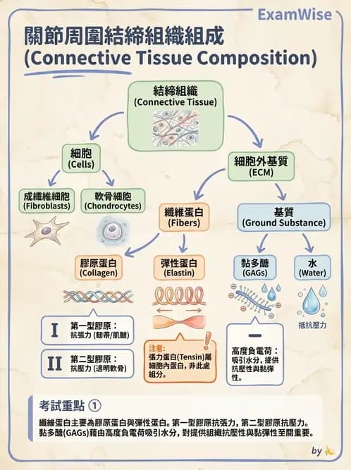 物治 - 組織生物力學 - AI 圖文解析預覽