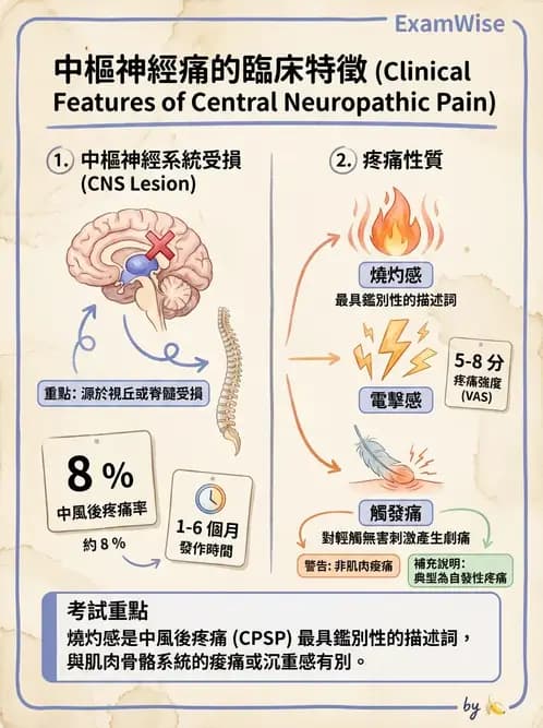 物治 - 脊髓與周邊神經疾病 - AI 圖文解析預覽