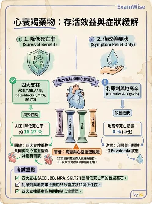 物治 - 心肺系統疾病 - AI 圖文解析預覽