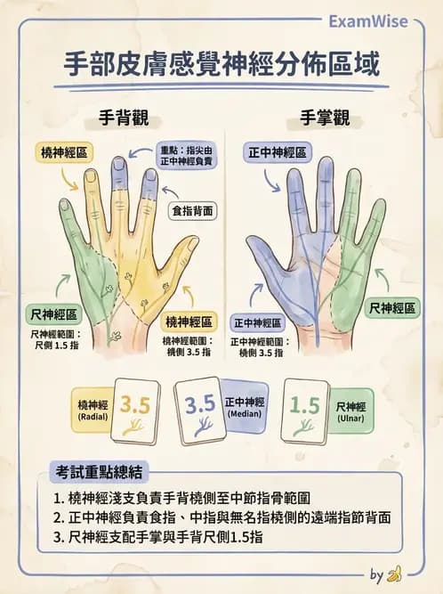 物治 - 脊髓與周邊神經疾病 - AI 圖文解析預覽