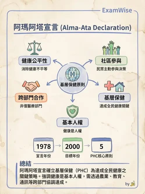 物治 - 健康政策與衛生行政 - AI 圖文解析預覽