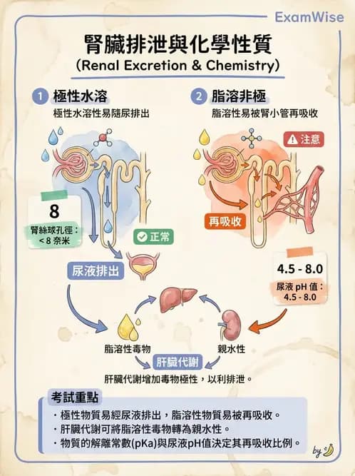 物治 - 環境與職業衛生 - AI 圖文解析預覽