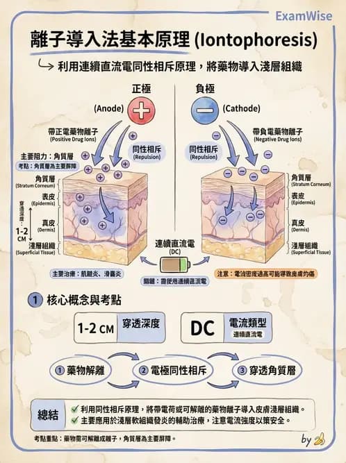 物治 - 離子導入法 - AI 圖文解析預覽