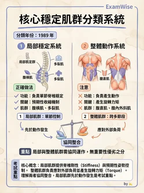 物治 - 核心穩定與功能性訓練 - AI 圖文解析預覽