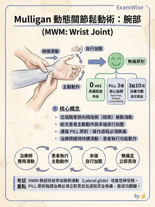 物治 - 鬆動術臨床應用 - AI 圖文解析預覽